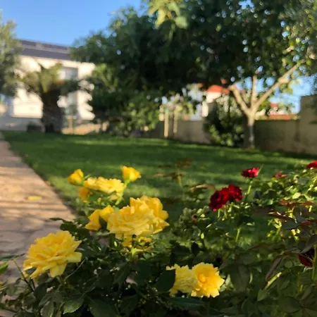 Dom wakacyjny In Privlaka Mit Garten, Grill Und Terrasse *