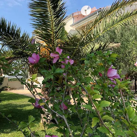 Dom wakacyjny In Privlaka Mit Garten, Grill Und Terrasse Nin