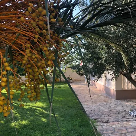 In Privlaka Mit Garten, Grill Und Terrasse Casa vacanze *